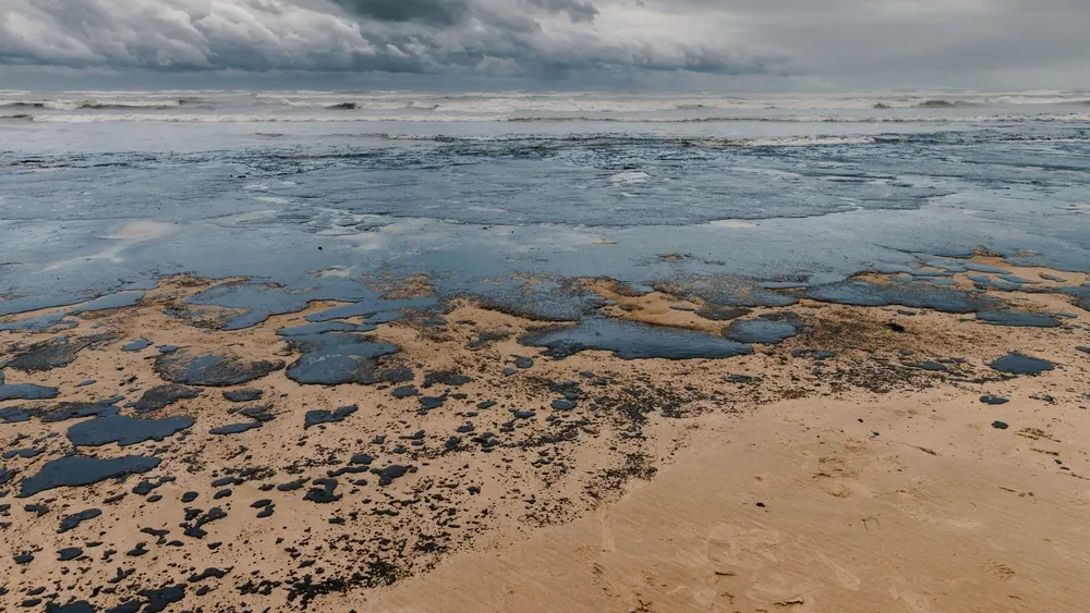 Фото: Wonderful Nature/Shutterstock/Fotodom