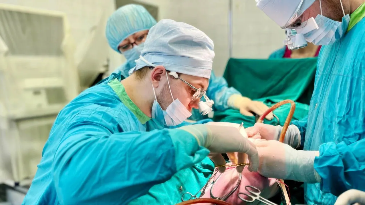 Фото предоставлено информационным центром правительства Тюменской области