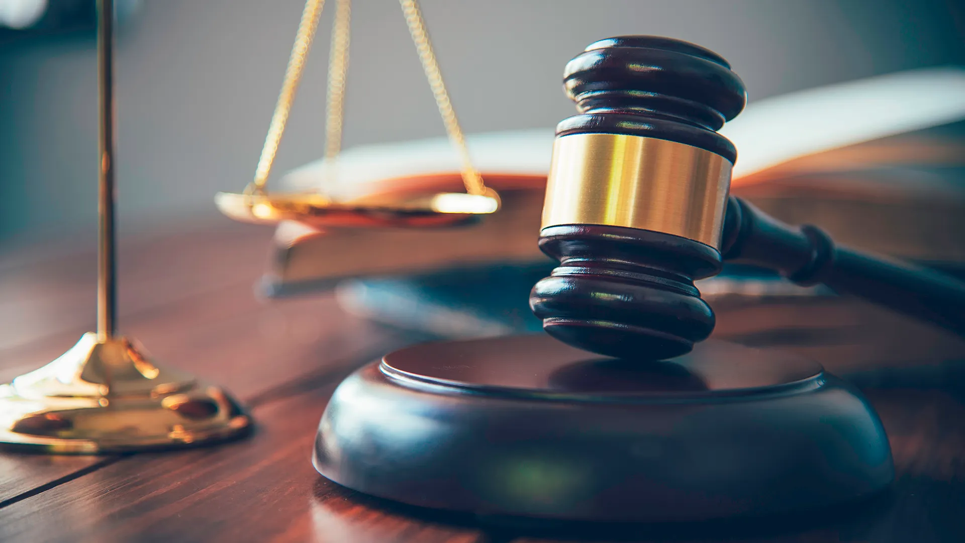 Фото: photobyphotoboy / Shutterstock.com