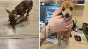 Фото: vk.com/zloynadym