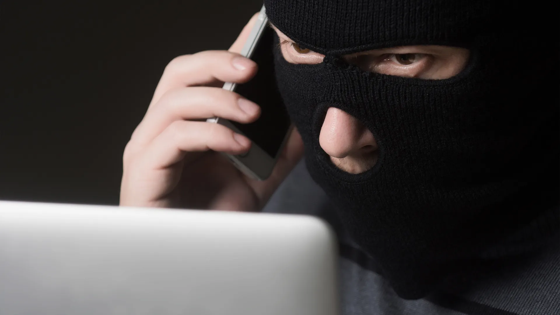 Фото: Mark Agnor/Shutterstock.com