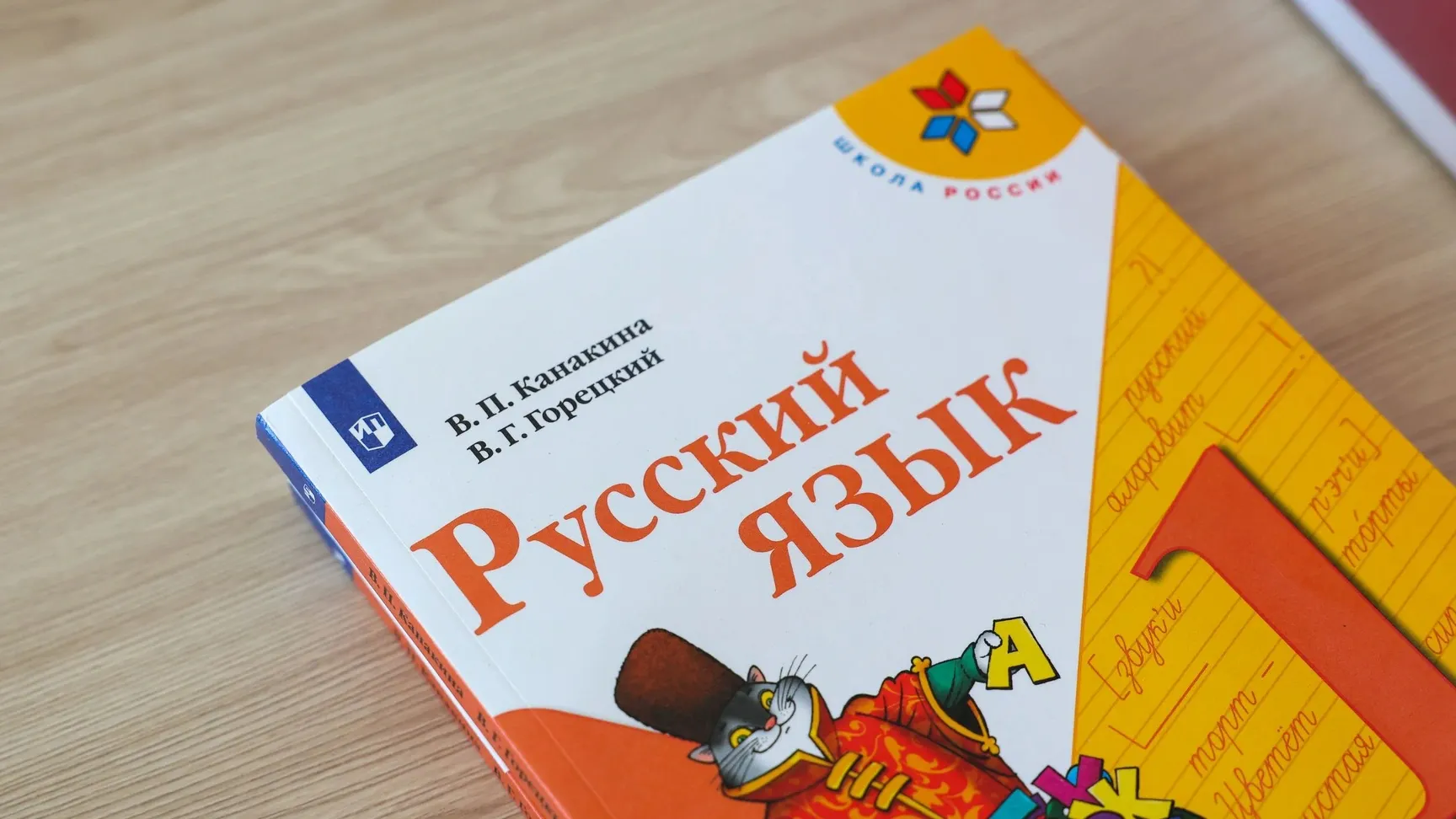 Поддержка русского языка в 2024: проблемы образования и замена