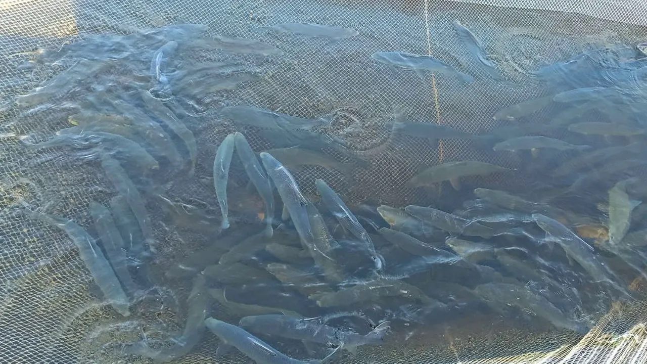 Фото предоставлено пресс-службой губернатора ЯНАО