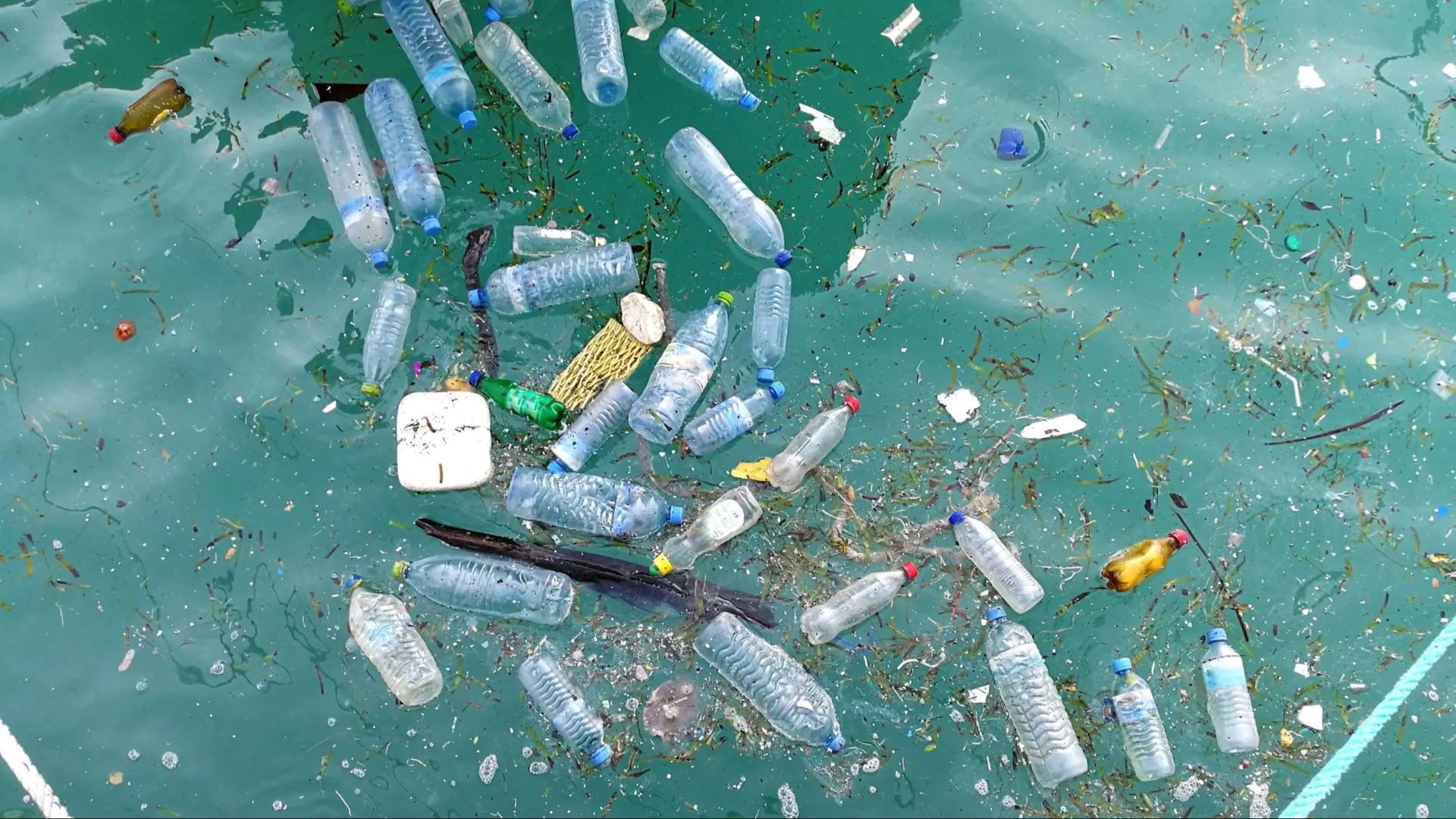 Фото: Mr.anaked/Shutterstock/Fotodom