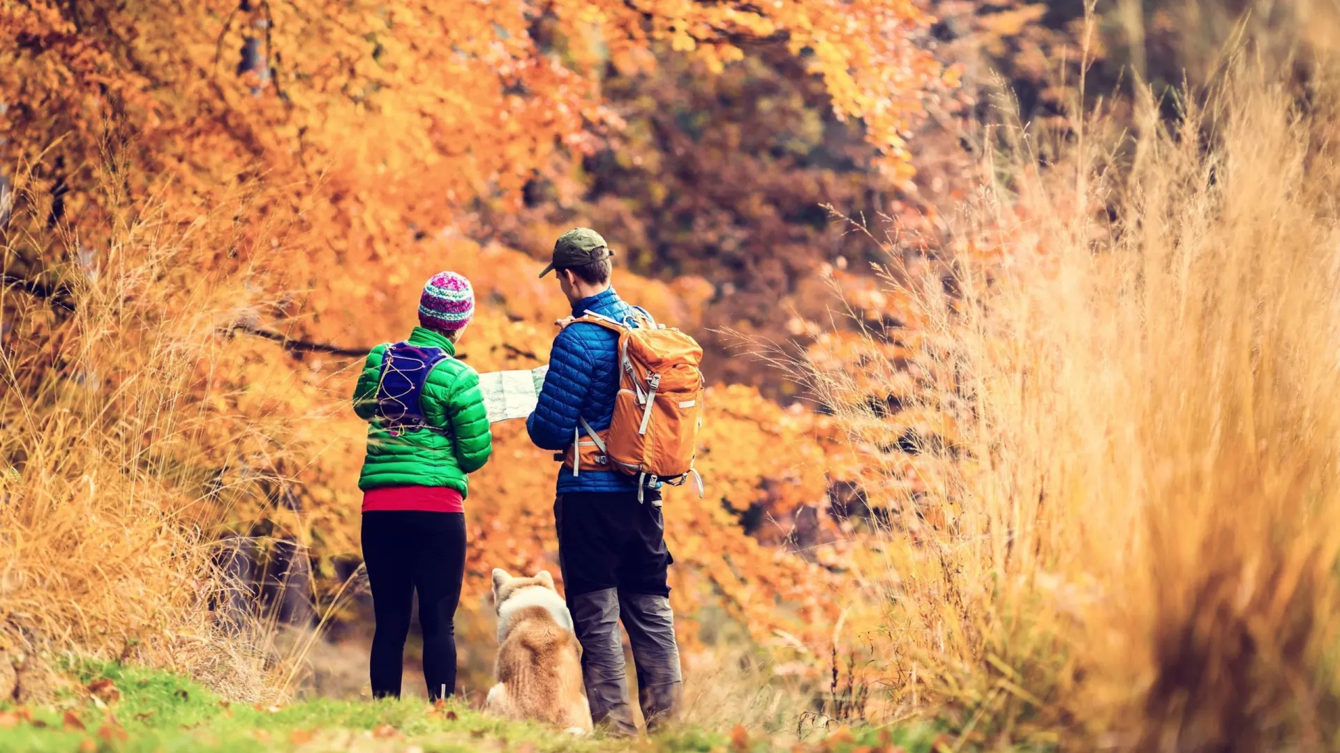 Фото: Blazej Lyjak/Shutterstock/Fotodom