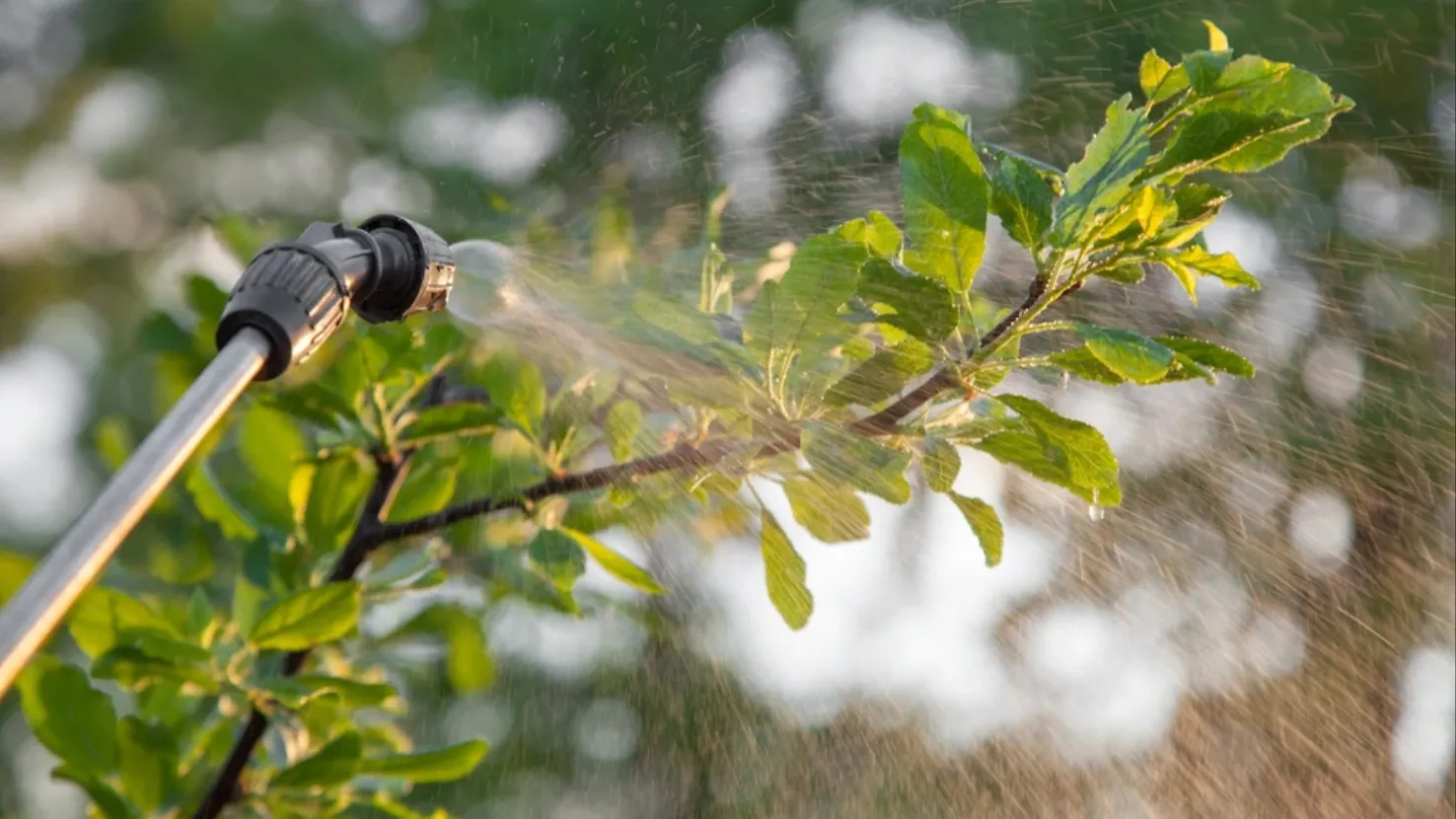 Фото: Vadym Zaitsev/shutterstock.com/Fotodom