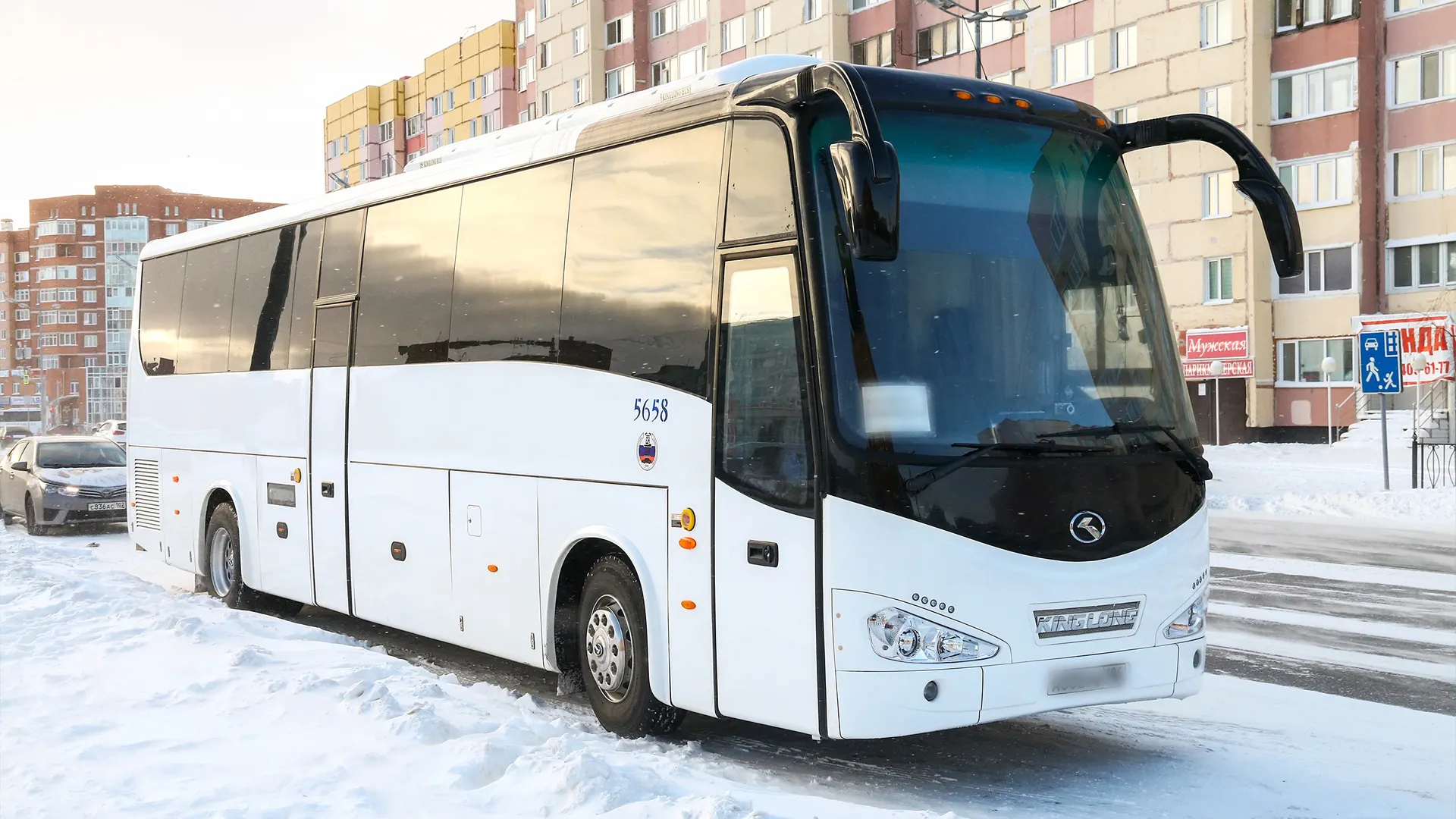 Фото: Art Konovalov/Shutterstock.com