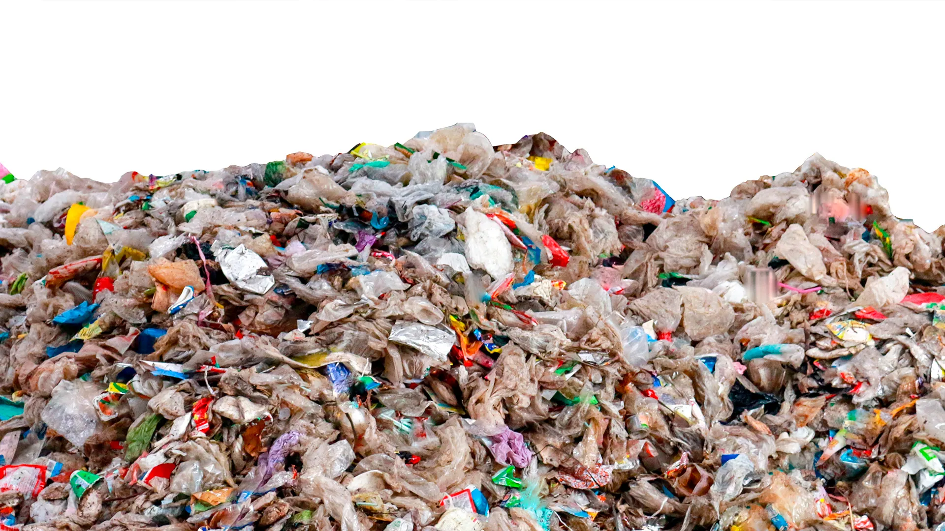 Фото: anut21ng Stock / Shutterstock.com