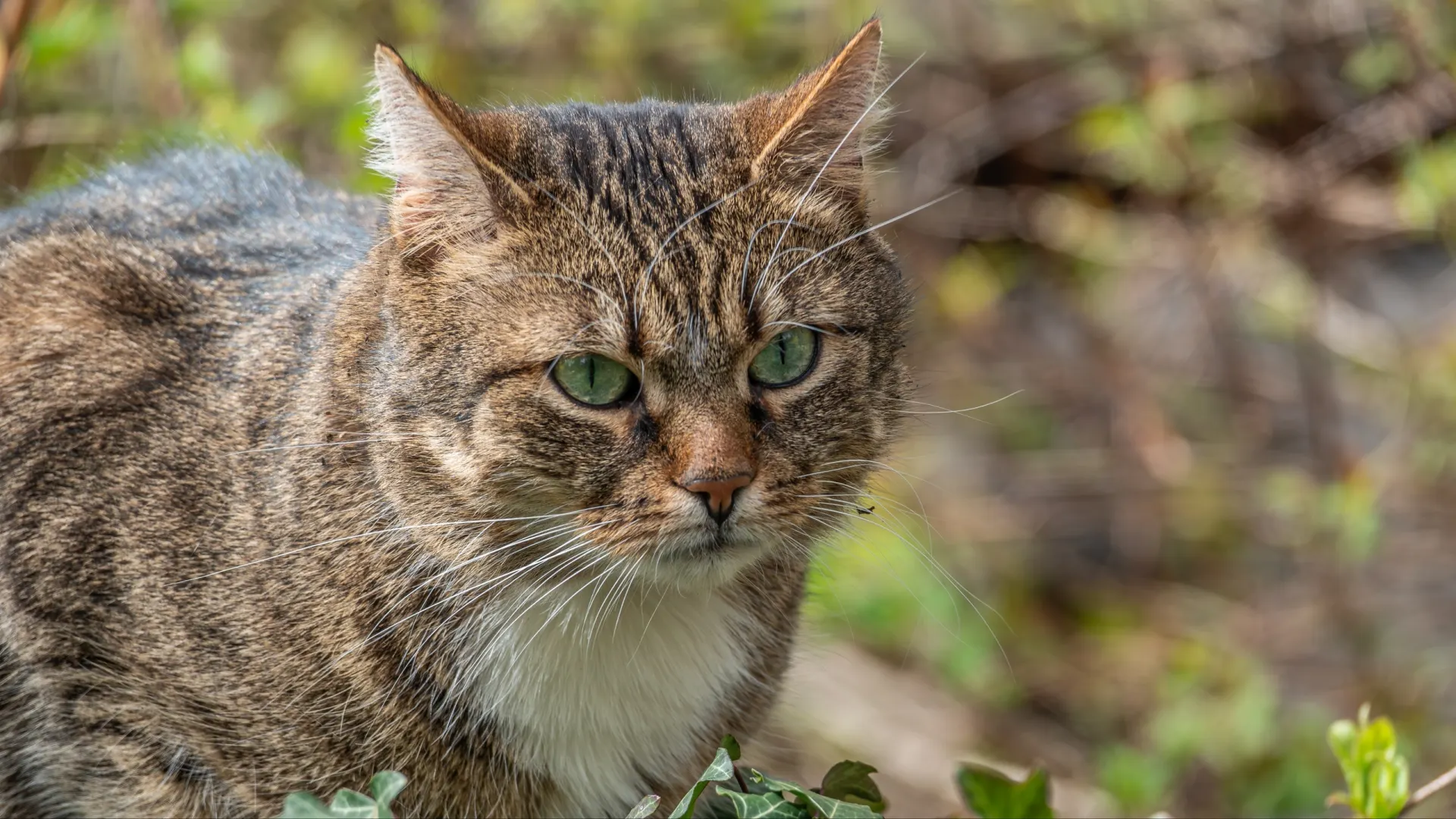 Фото: PP77LSK/Shutterstock/Fotodom