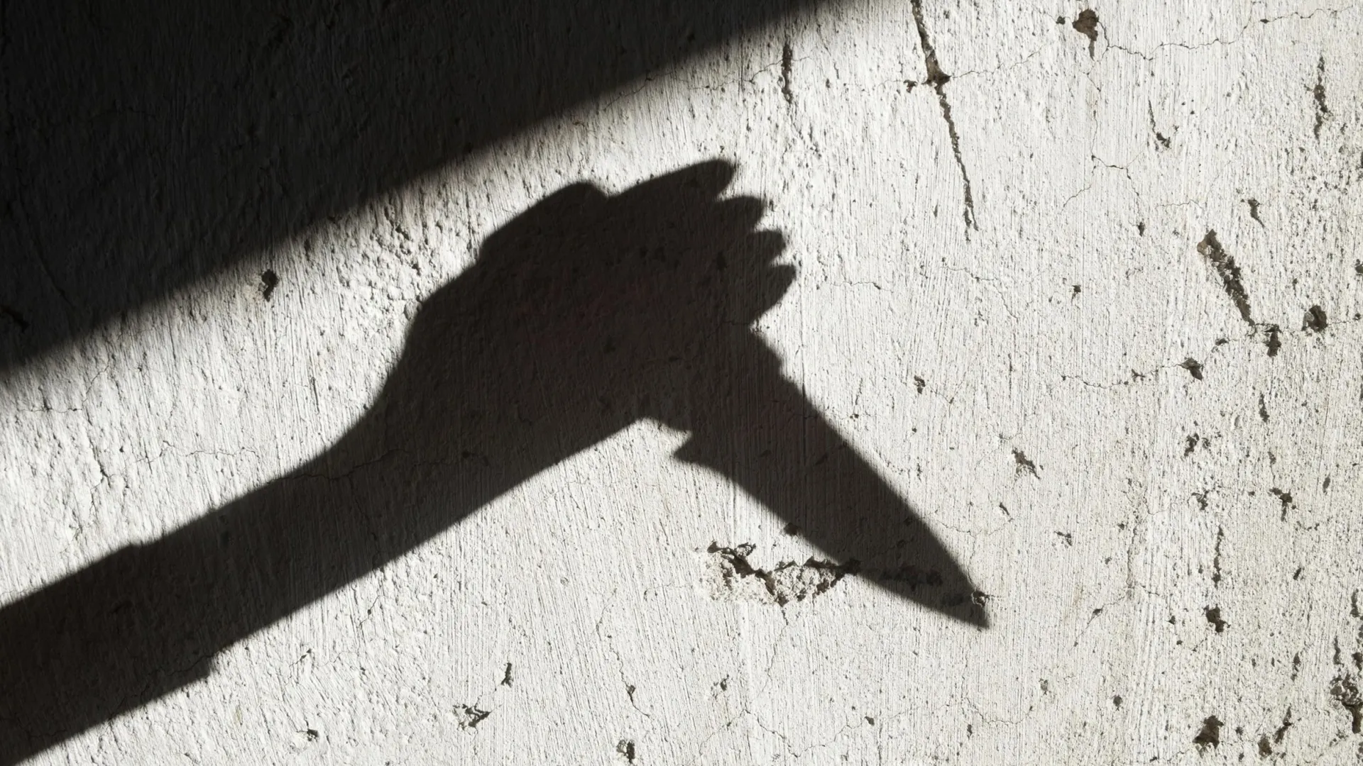 Фото: rootstock/Shutterstock/Fotodom