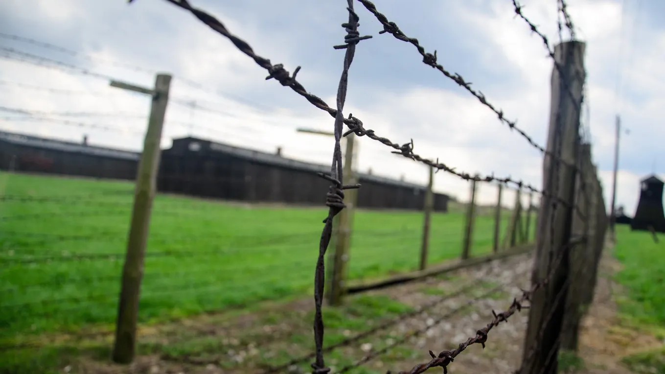 Фото: pxhere.com