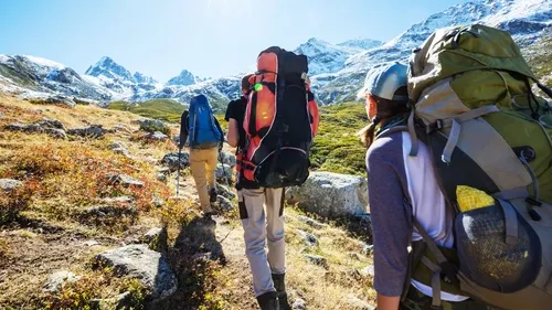 Фото: Galyna Andrushko/Shutterstock/Fotodom