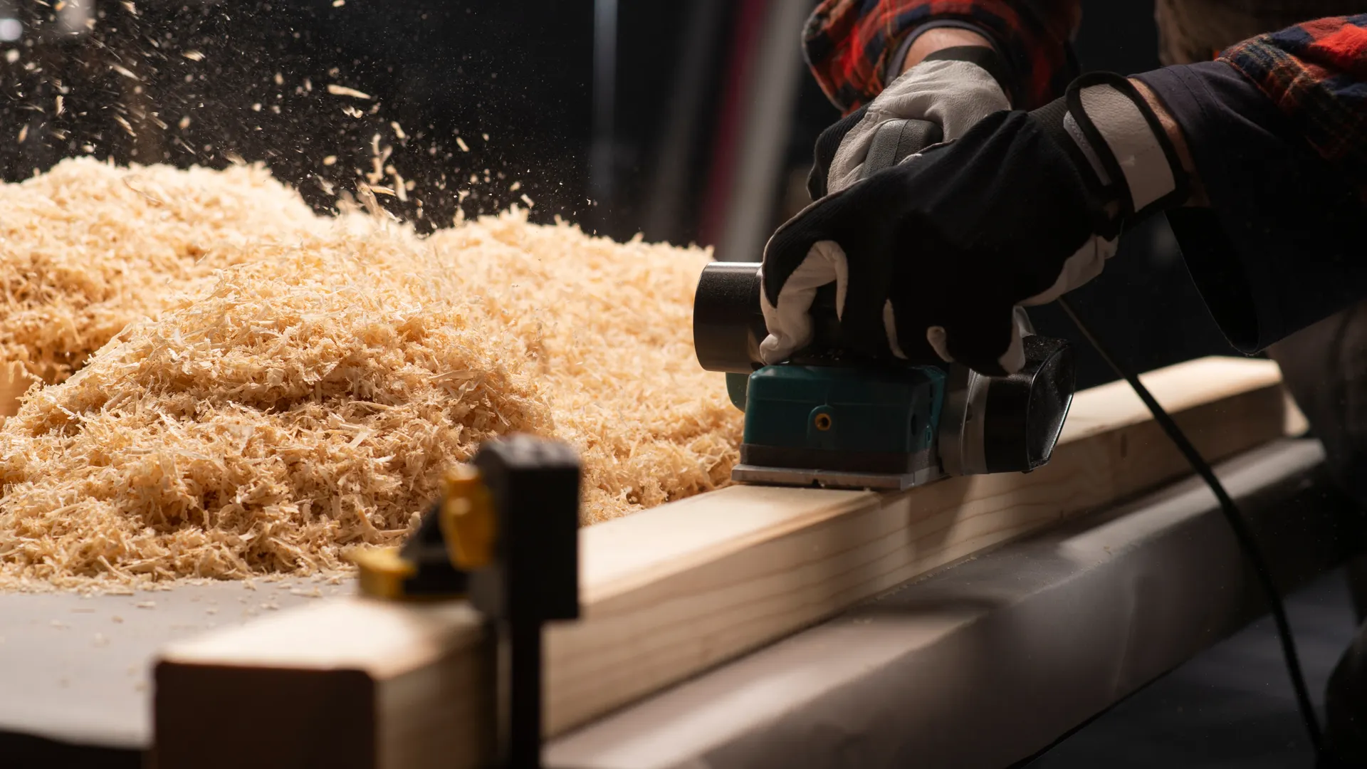 Shutterstock.com/vlalukinv