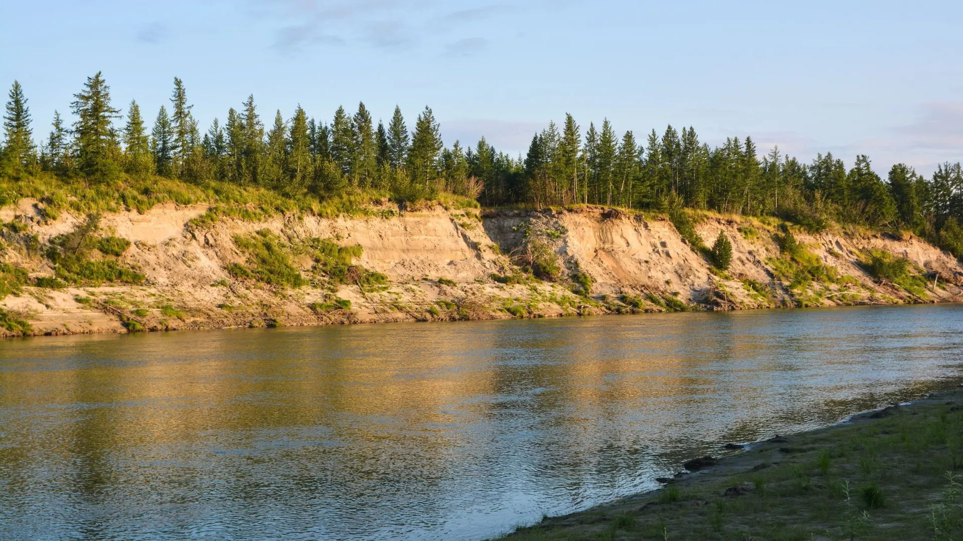 Фото: Sergei Drozd/Shutterstock/Fotodom