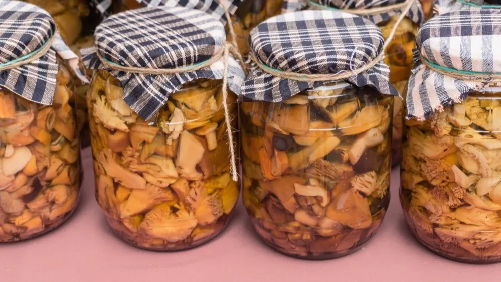 Фото: Joan Manel/Shutterstock/Fotodom