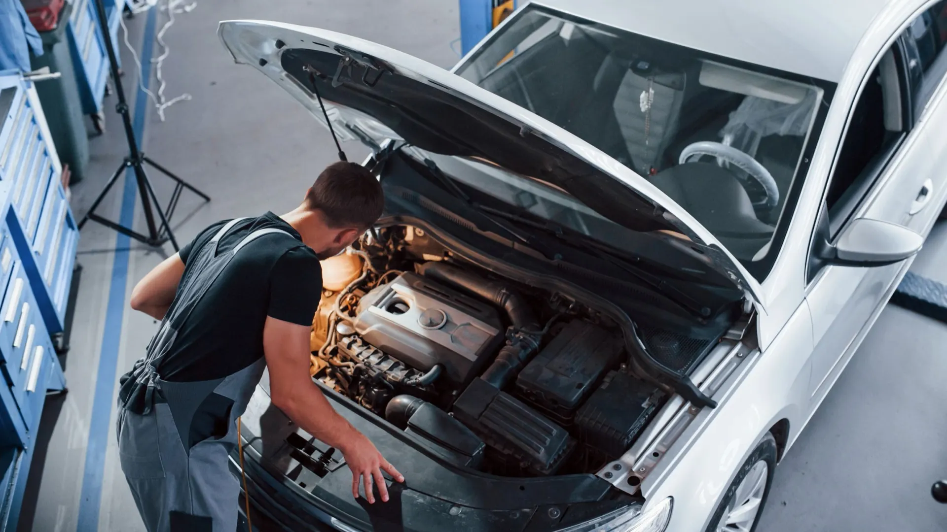 Фото: Standret/Shutterstock/Fotodom