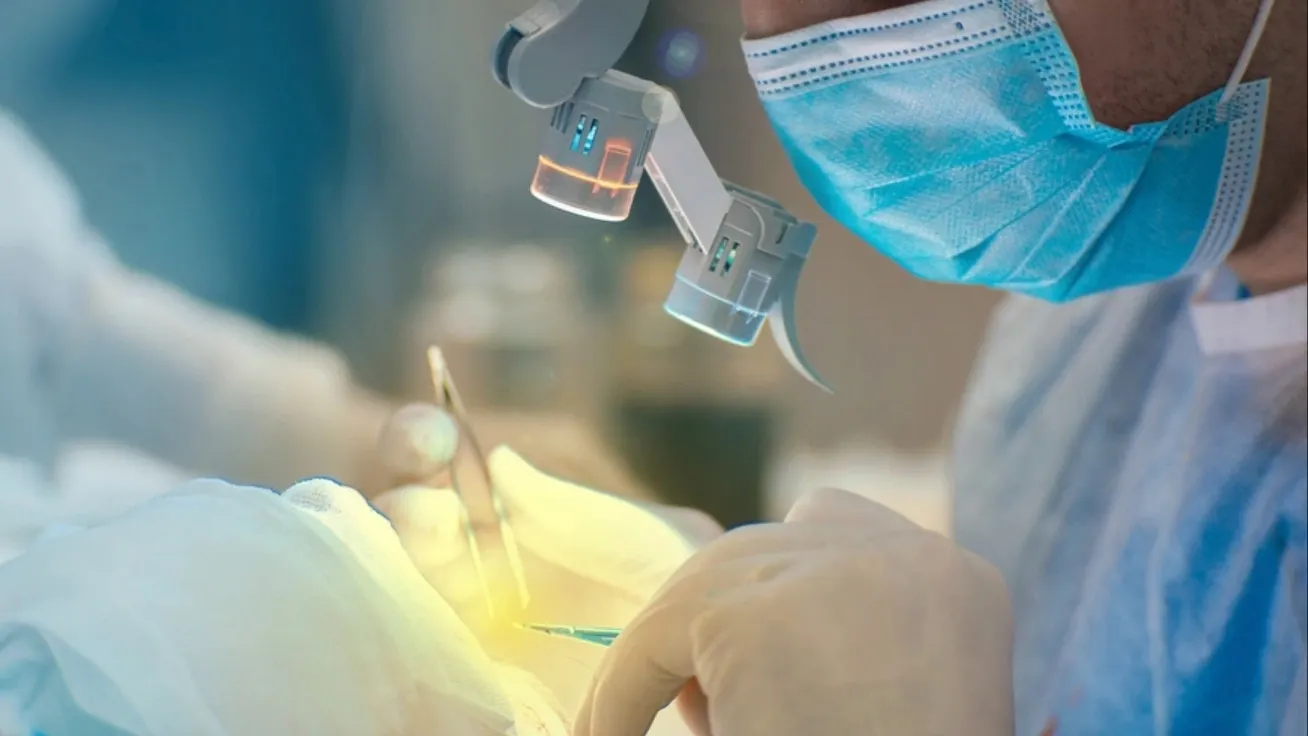 Фото: Velimir Zeland/shutterstock.com/Fotodom