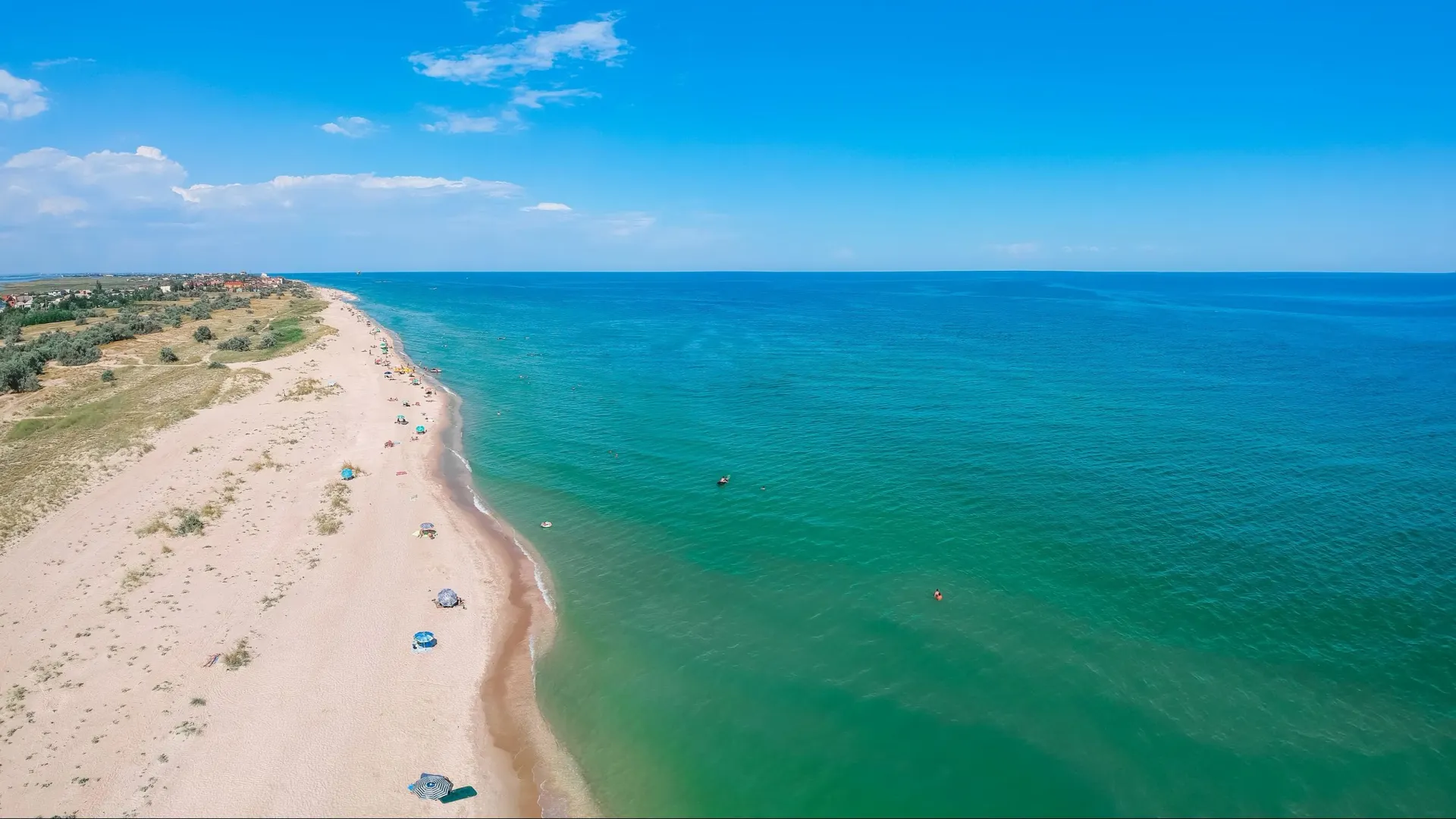 Фото: Oleg_P/Shutterstock/Fotodom