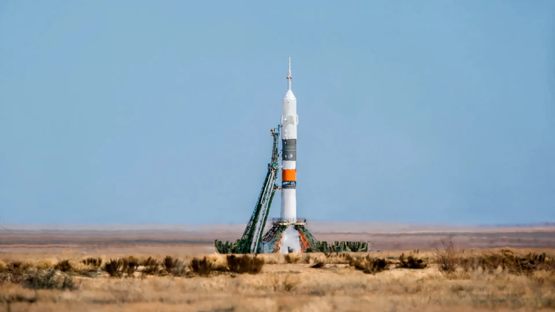 Фото: Vera Larina/Shutterstock/Fotodom