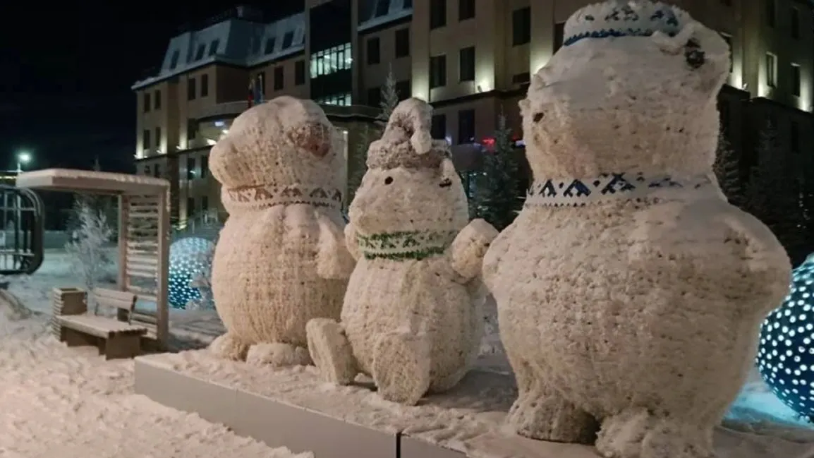 Фото: t.me/salekhard_admin