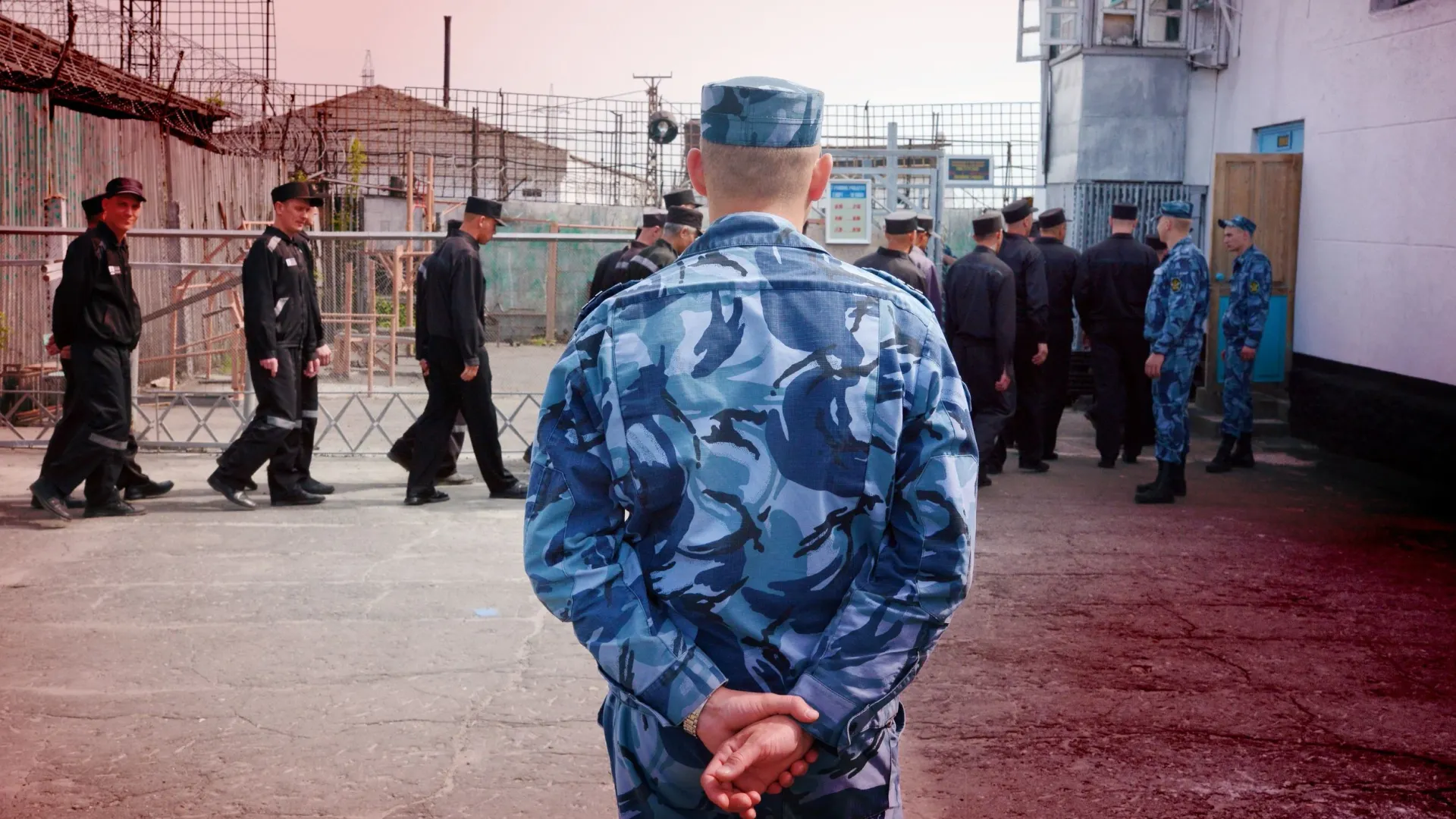 Фото: Jonas Petrovas/Shutterstock/ФОТОДОМ