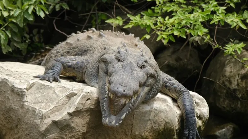 Фото: Intothegreentravel/Shutterstock/Fotodom