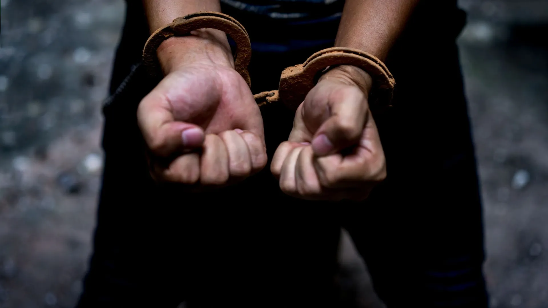 Фото: MMD Creative/Shutterstock/Fotodom