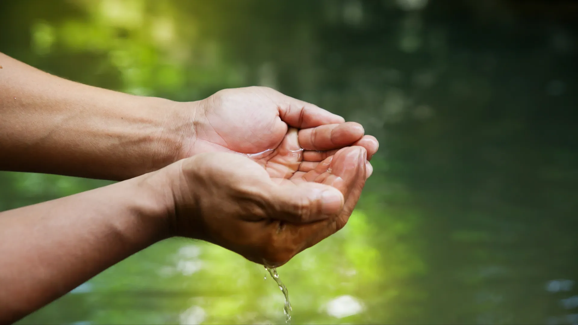 Фото: CHAIWATPHOTOS/Shutterstock/Fotodom