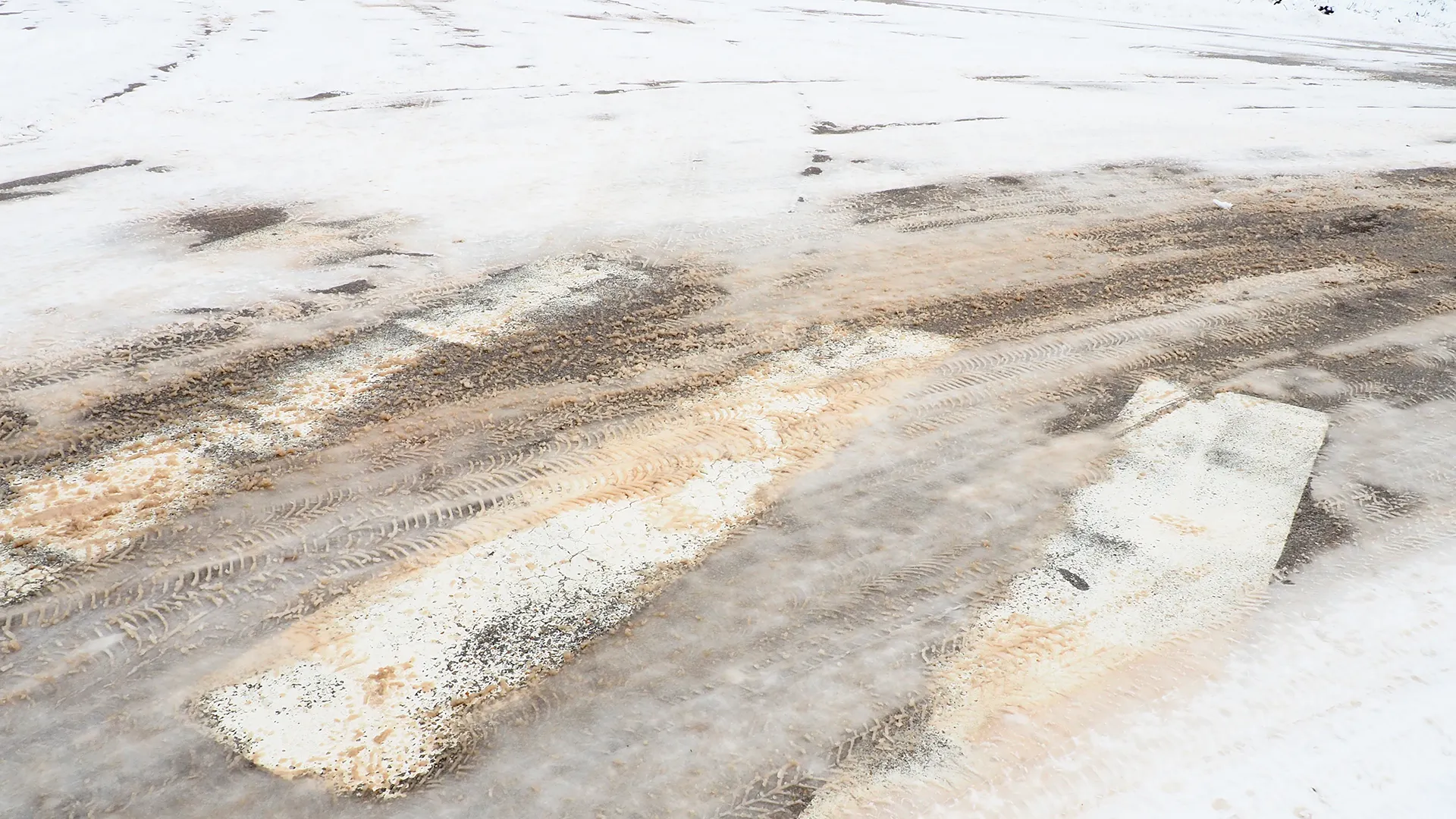 Фото: Karjalainen / Shutterstock.com