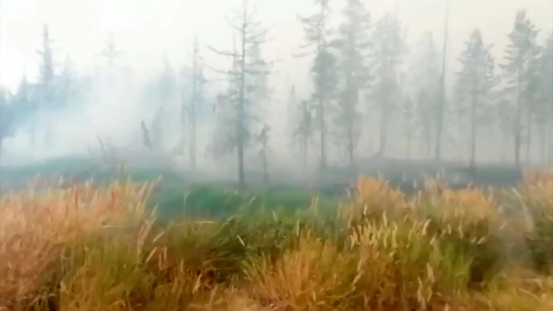 Фото: «Ямал-Медиа»