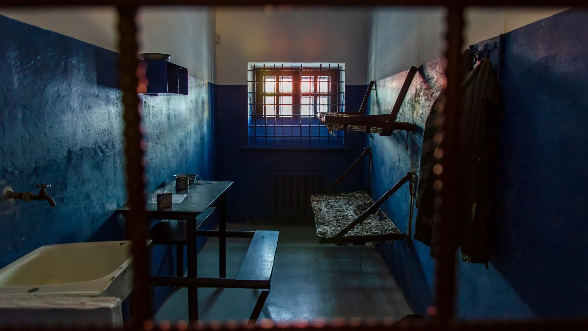 Фото: Nikolay Litvak/Shutterstock/Fotodom