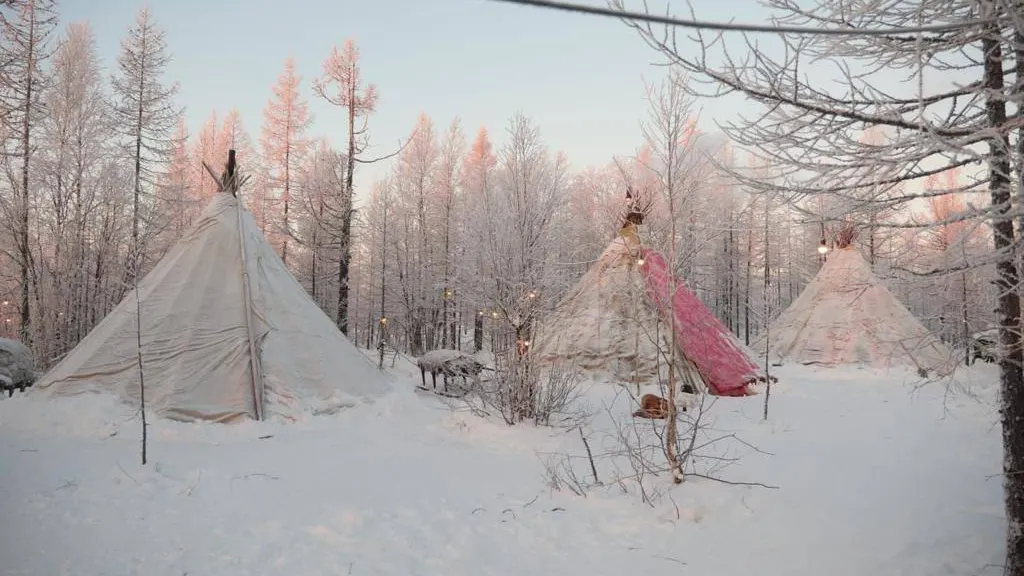 Фото: t.me/VORONOV89