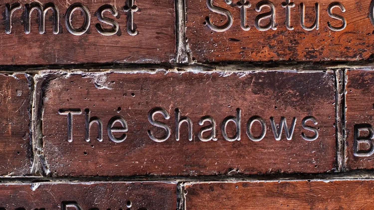 Фото: chrisdorney/Shutterstock/Fotodom