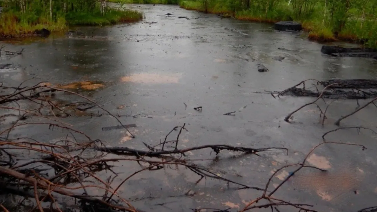 Фото: vk.com/prirodnadzor