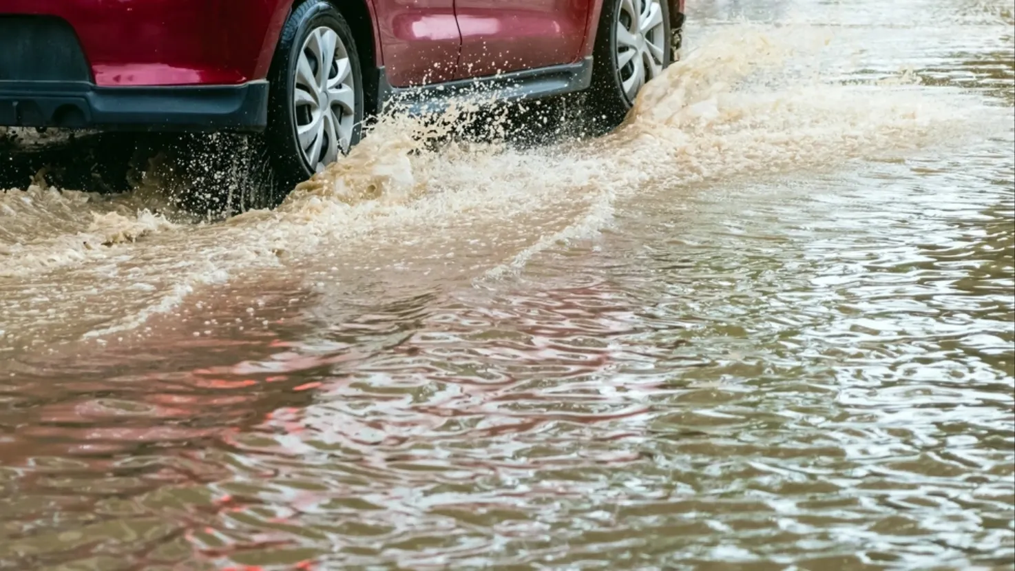 Фото: Nach-Noth/shutterstock.com/Fotodom