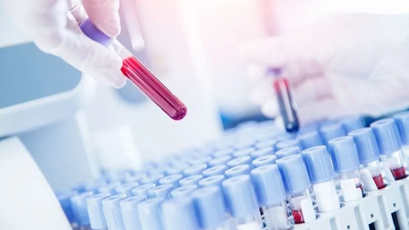 Фото: Parilov/Shutterstock/Fotodom