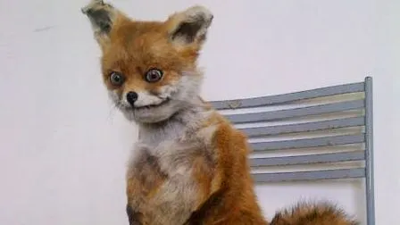 Фото: сайт memepedia.ru