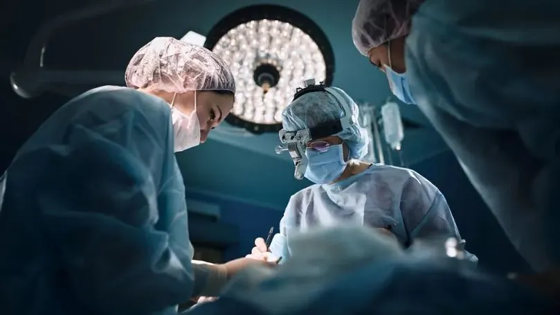 Фото: Gerain0812/Shutterstock/Fotodom