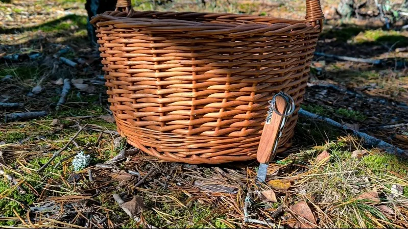 Фото: lyuba.smith/Shutterstock/Fotodom