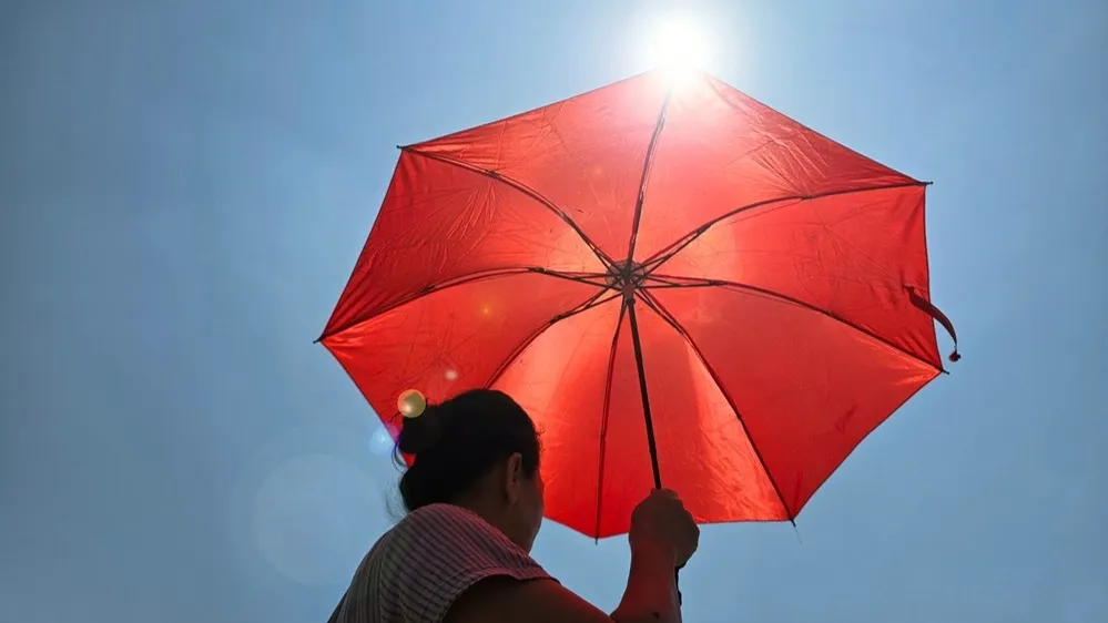 Фото: Andri wahyudi/Shutterstock/Fotodom