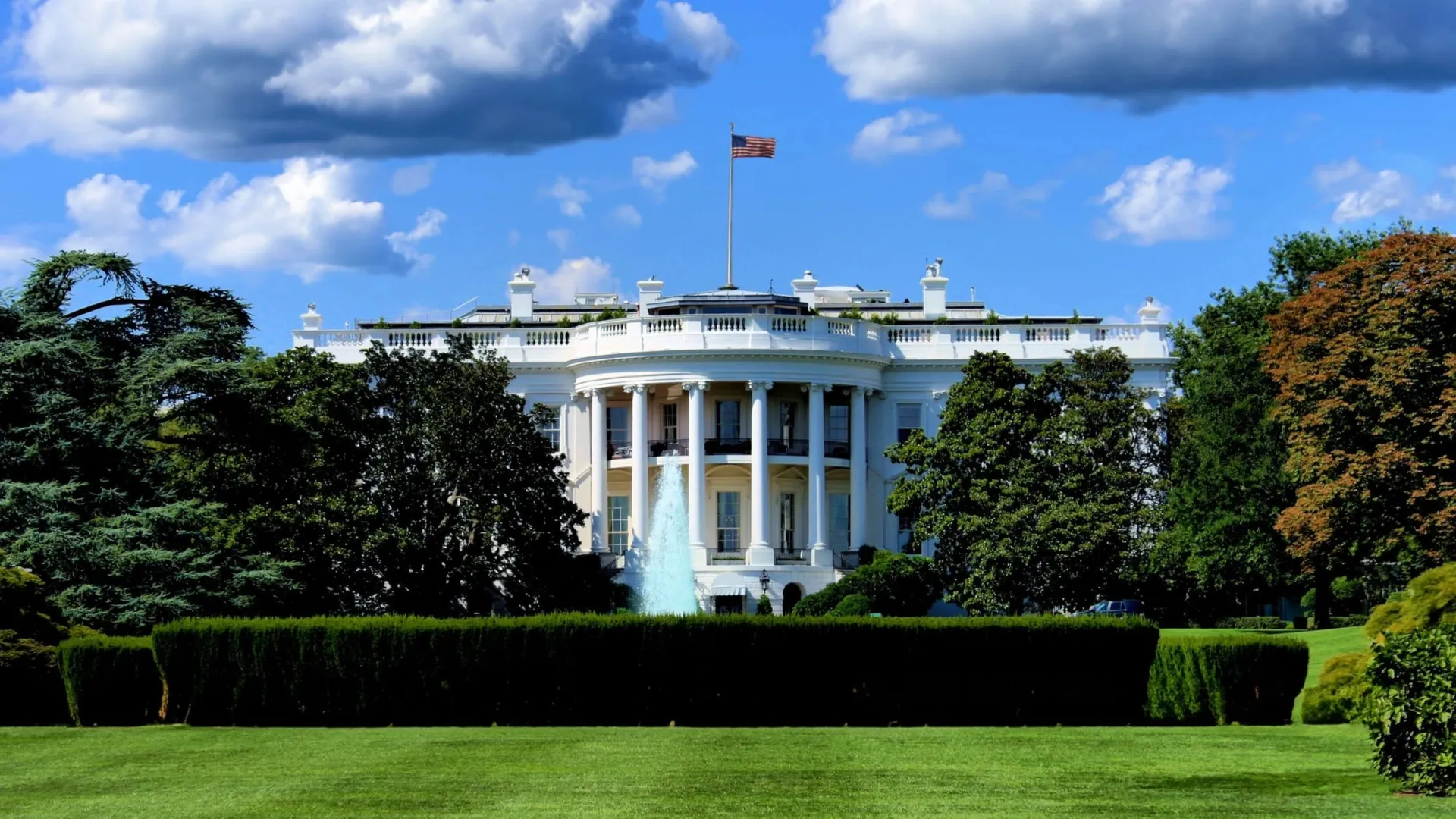 Фото: murathakanart/Shutterstock/Fotodom