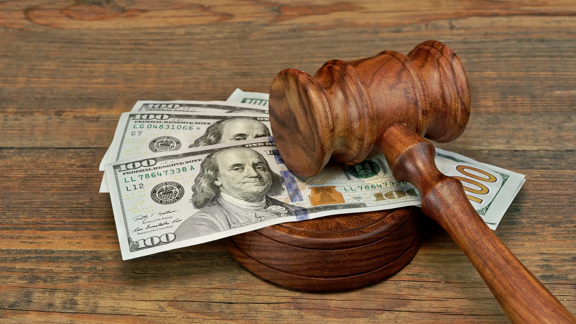 Фото:  AVN Photo Lab / Shutterstock.com