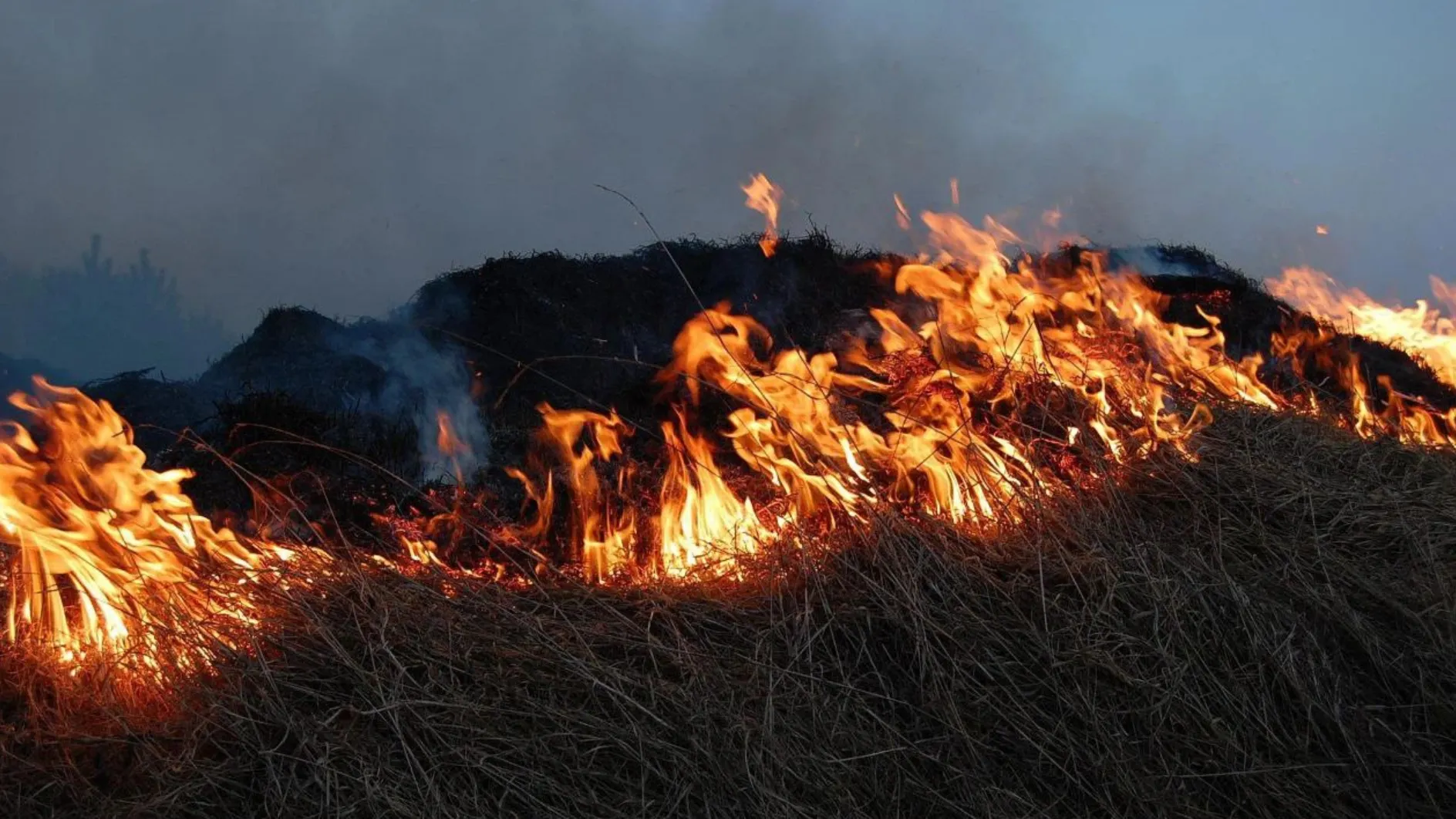 Фото: Pixabay.com