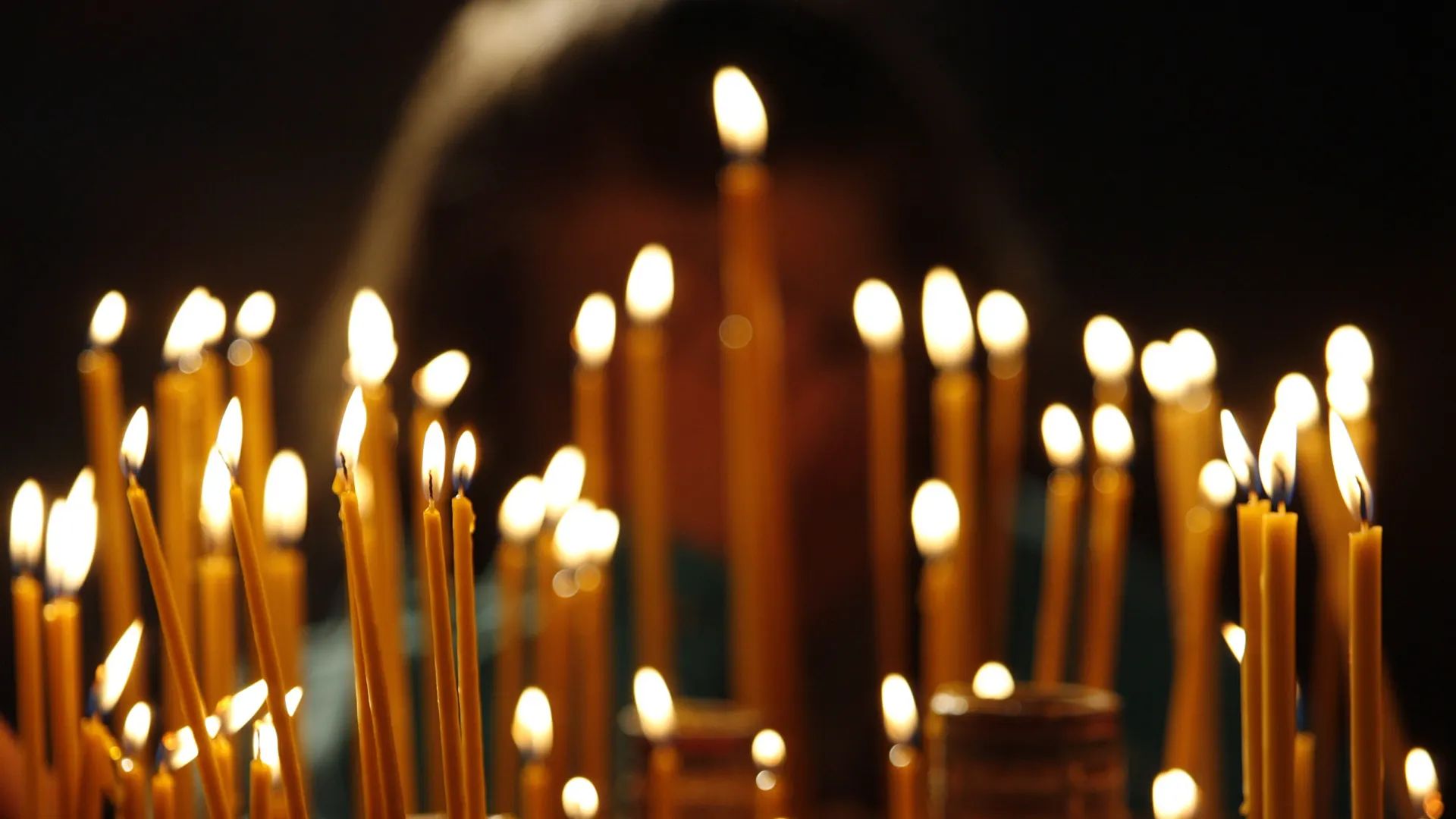 Фото: Eldin/Shutterstock/Fotodom