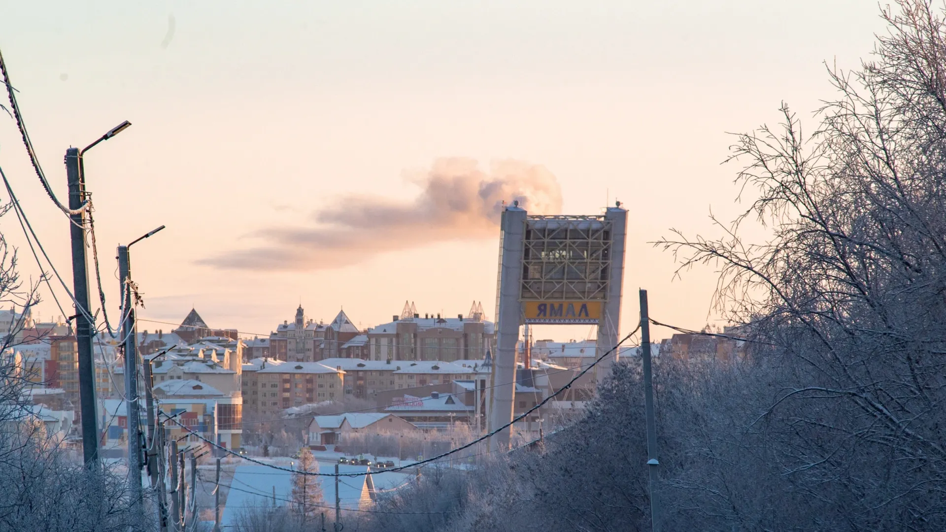 Фото: Сергей Зубков/«Ямал-Медиа»