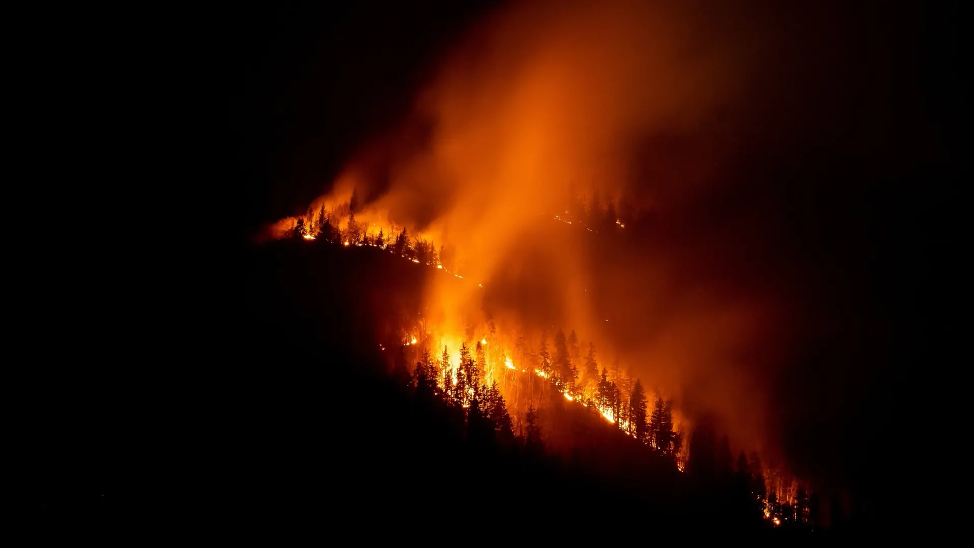 Тушение огня на морских побережьях Краснодарского края осложняется горным рельефом. Фото: 24K-Production/Shutterstock/Fotodom