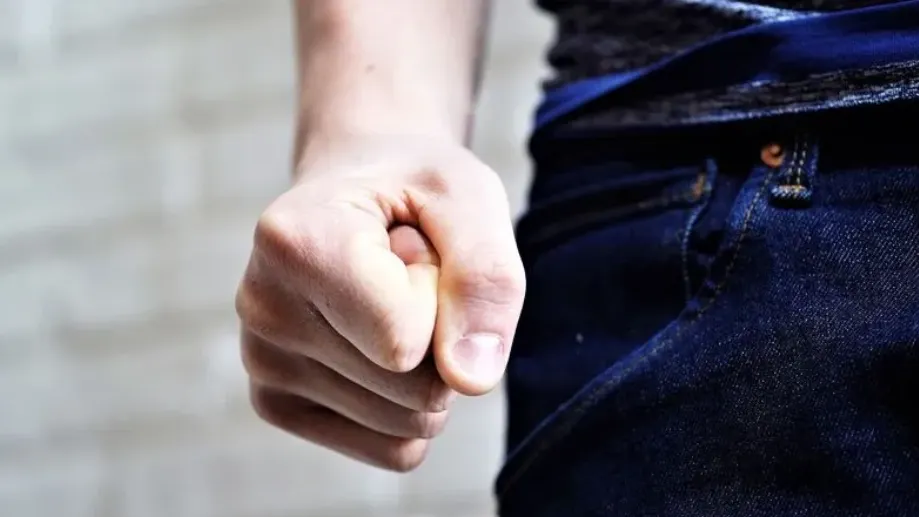 Фото: Kamil Zajaczkowski/Shutterstock/Fotodom