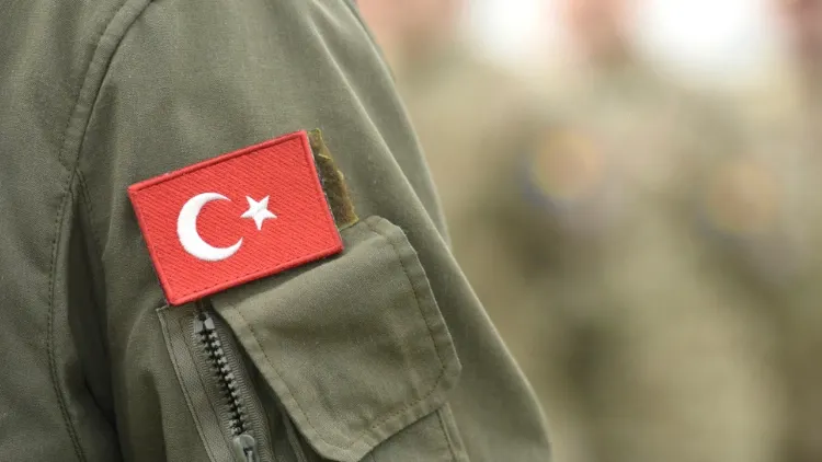 Фото: Bumble Dee/Shutterstock/Fotodom