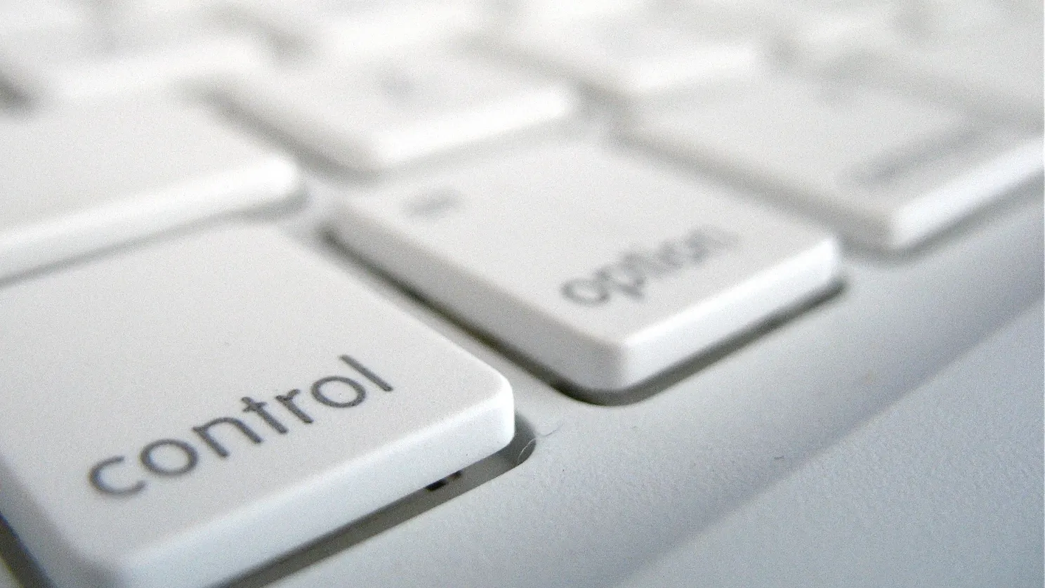 Frederico Cintra \ Flickr.com