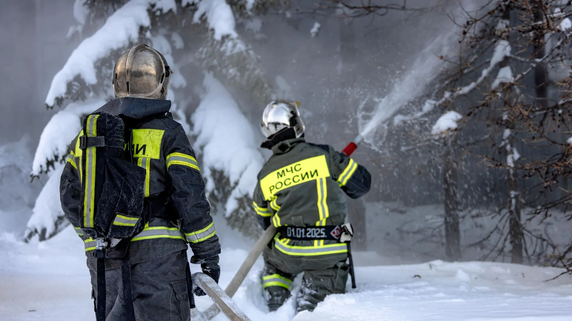 Фото: Зубков Сергей/«Ямал-Медиа»